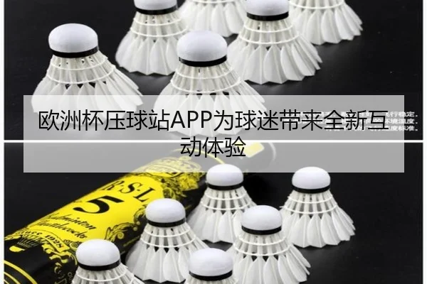 欧洲杯压球站APP为球迷带来全新互动体验