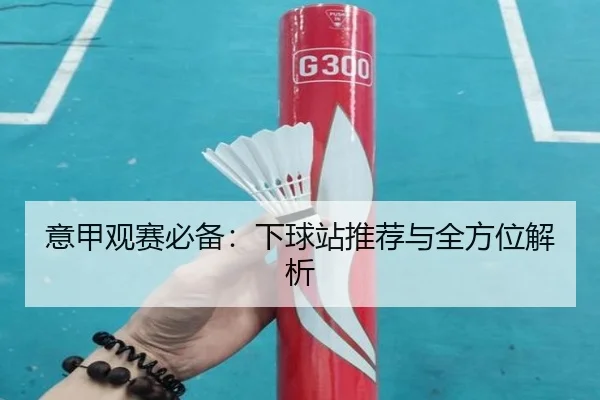 意甲观赛必备：下球站推荐与全方位解析