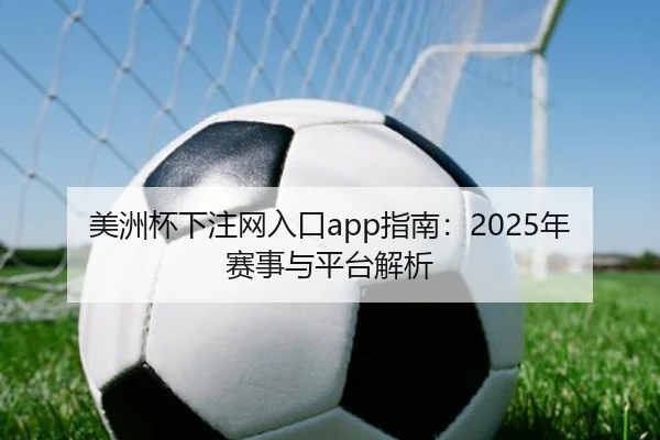 美洲杯下注网入口app指南：2025年赛事与平台解析
